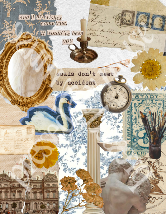 Swan Song | Kindle Insert